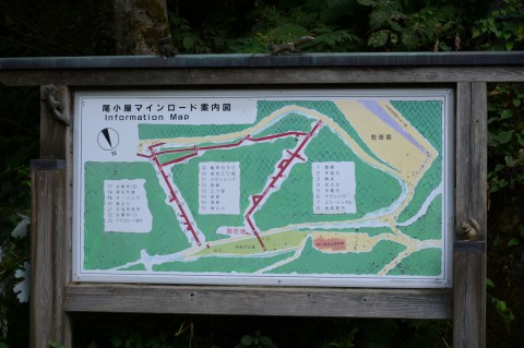 AAA_9801